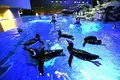 東京スカイツリーの写真_87009