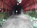 頭川トンネルの写真_87162