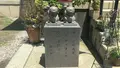 今戸神社の写真_87493
