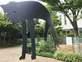 代官山 蔦屋書店(TSUTAYA)の写真_88611