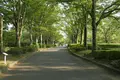 万博記念公園の写真_88954