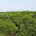 万博記念公園の写真_88955