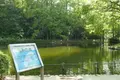 万博記念公園の写真_88958