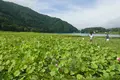 中綱湖の写真_89909