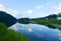 中綱湖の写真_89912