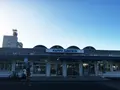 山下公園の写真_91445