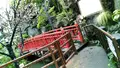 浅草花やしきの写真_92500