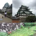 名古屋城の写真_95348