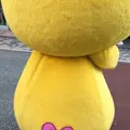 おずっちょの写真_96308