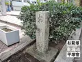 平塚市博物館の写真_97456