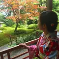 鈴虫寺（華厳寺）の写真_97697