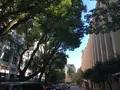 慶應義塾大学 三田キャンパスの写真_99789