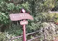伊豆高原桜並木の写真_1000682