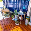 containercafe &Blue (コンテナカフェ アンドブルー)の写真_1016929