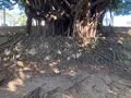 崇元寺跡の写真_1026877