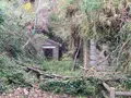 小島の写真_1042793