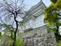 小田原城の写真_1097689