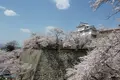 津山城 鶴山公園の写真_1113221