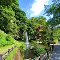 神川大滝公園の写真_1193650