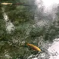 明神池名水公園の写真_1241348