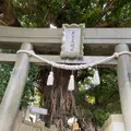 奈良尾神社の写真_1245402