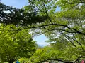 松本市アルプス公園の写真_1351362