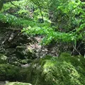 御岳岩石園ロックガーデンの写真_1360767