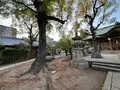 高津宮（高津神社）の写真_1361619