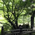 成田山公園の写真_1363100