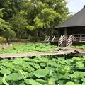 千葉公園の写真_1366089