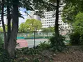 中之島西公園の写真_1367401