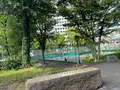 中之島西公園の写真_1367402