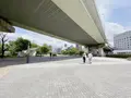 中之島公園 芝生広場の写真_1368946