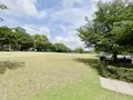 中之島公園 芝生広場の写真_1368949