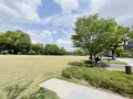 中之島公園 芝生広場の写真_1368951