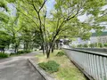 中之島の写真_1369265