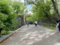 大阪城の写真_1374330
