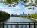 大阪城公園の写真_1374437