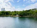 大阪城公園の写真_1374463
