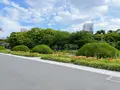 大阪城公園の写真_1374490
