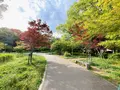 大阪城公園の写真_1374494
