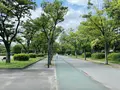 毛馬桜之宮公園の写真_1374639