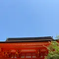 上賀茂神社（賀茂別雷神社）の写真_1382404