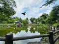 鍋島松濤公園の写真_1387161