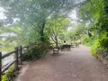 鍋島松濤公園の写真_1387167