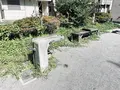 清澄二丁目公園の写真_1482719