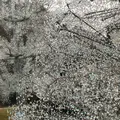 箱根ガラスの森美術館の写真_1503371