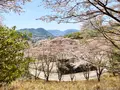備前焼ギャラリー山麓窯の写真_1577569