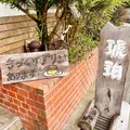 琥珀の写真_1582120