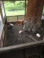 アーデンホテル阿蘇の写真_1588674